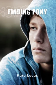 Finding-Pony-cover-front